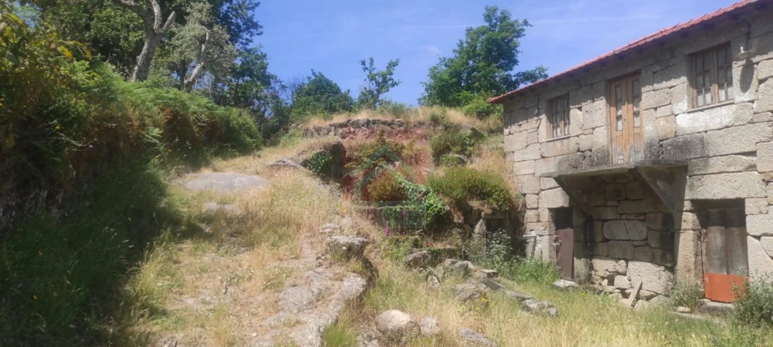 Quinta T3 para Venda em Cinfães Foto 10