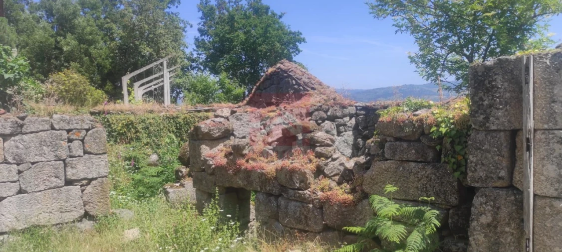 Quinta T3 para Venda em Cinfães Foto 13