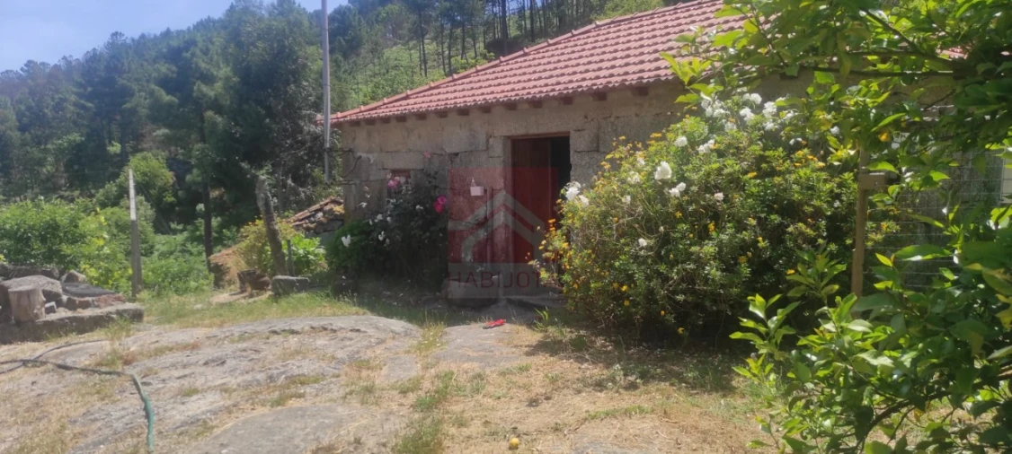 Quinta T3 para Venda em Cinfães Foto 1