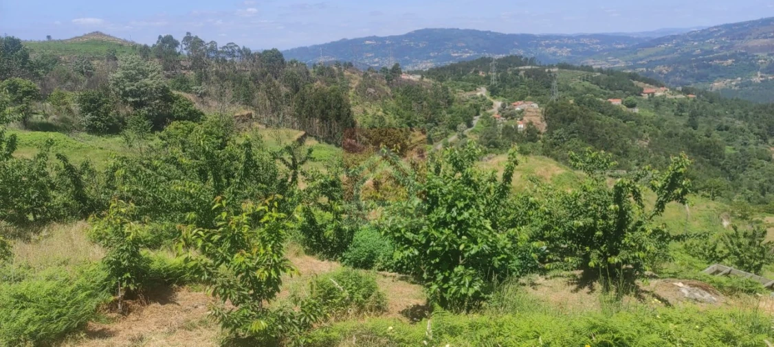 Quinta T3 para Venda em Cinfães Foto 18