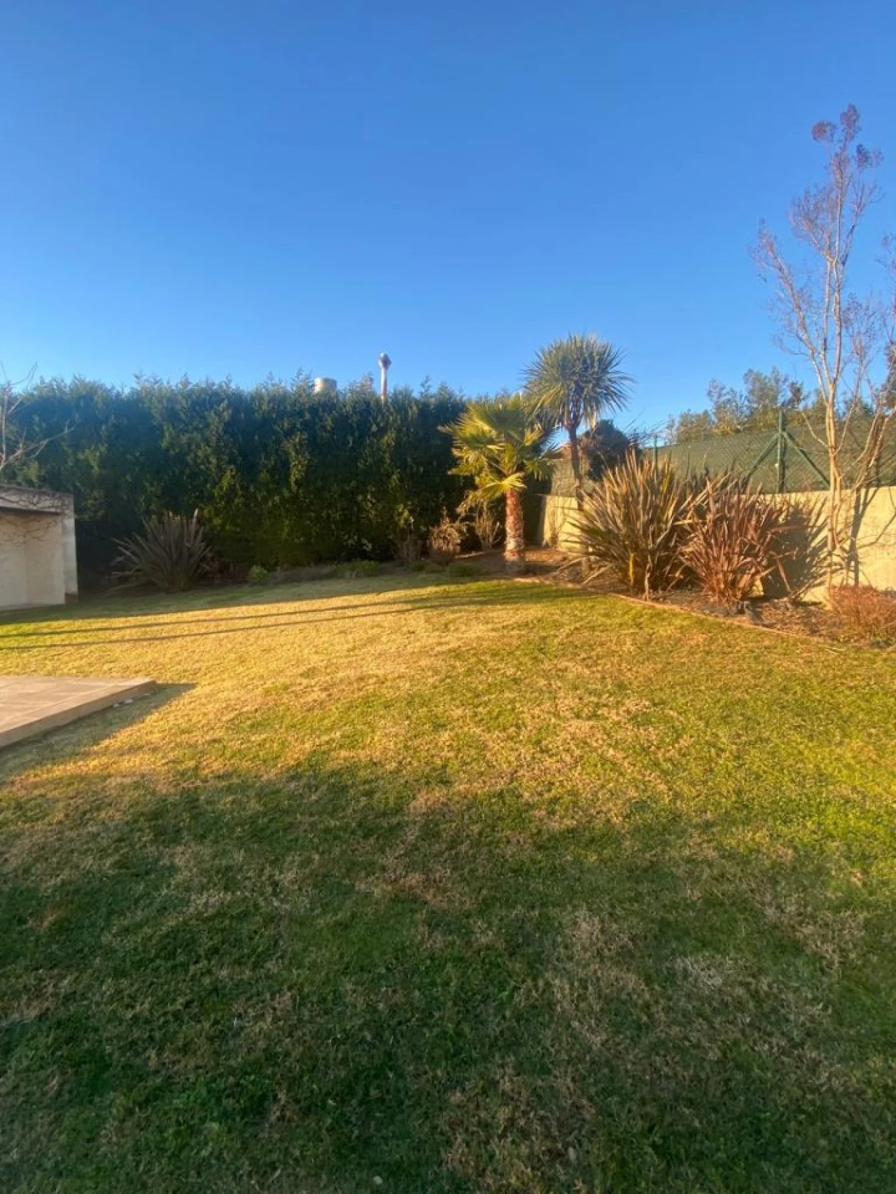 Moradia T3 para Arrendamento em Grijó e Sermonde Foto 17