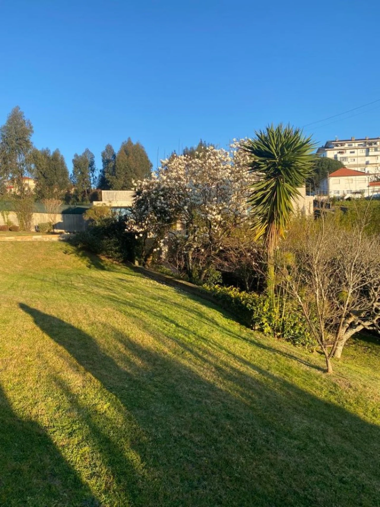 Moradia T3 para Arrendamento em Grijó e Sermonde Foto 16