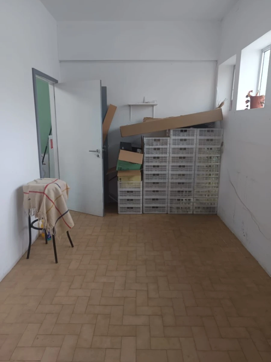 Negócio para Venda em Espinho Foto 7