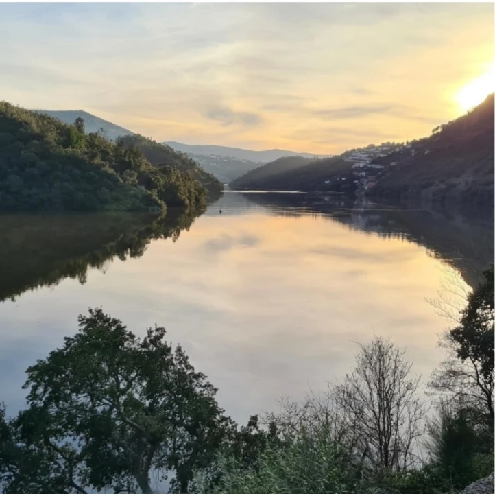 Quinta para Venda em Canelas Foto 3