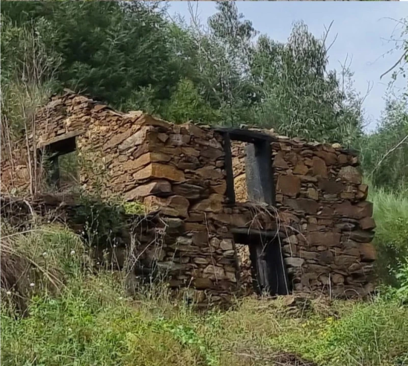 Quinta para Venda em Canelas Foto 4