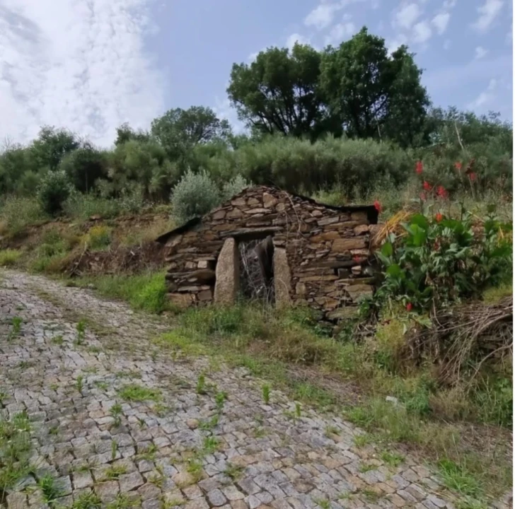 Quinta para Venda em Canelas Foto 5