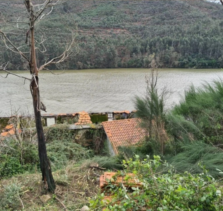 Quinta para Venda em Canelas Foto 6
