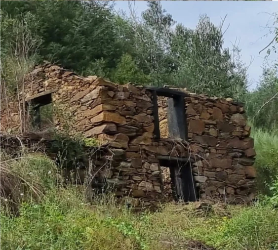 Quinta para Venda em Canelas Foto 4