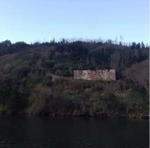 Quinta para Venda em Canelas Foto 7