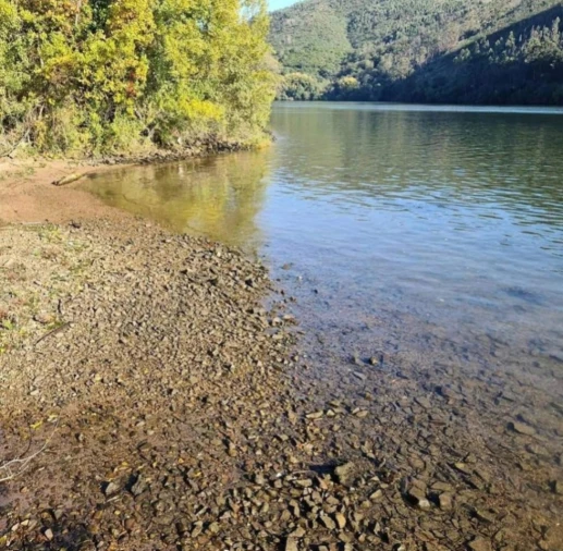Quinta para Venda em Canelas Foto 10