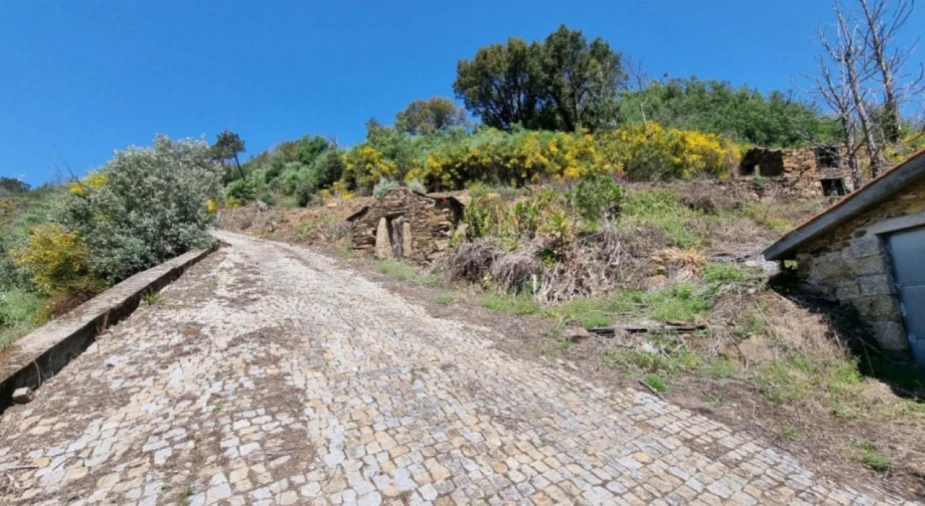 Quinta para Venda em Canelas Foto 11