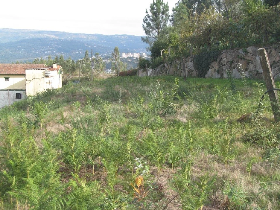 Terreno para Venda em Constance Foto 6