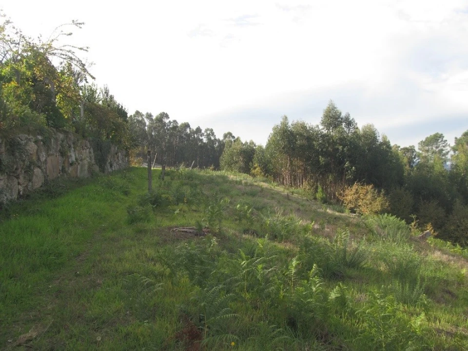 Terreno para Venda em Constance Foto 8