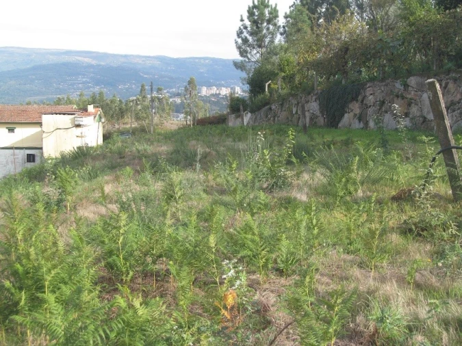 Terreno para Venda em Constance Foto 6