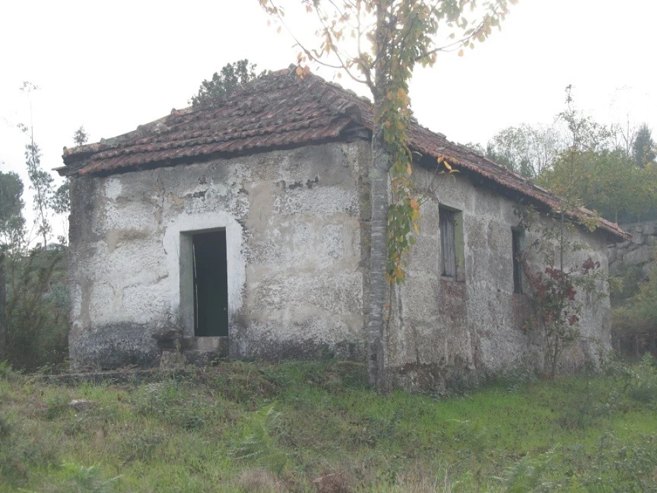 Terreno Agricola ou Rústico para Venda em Constance Foto 2