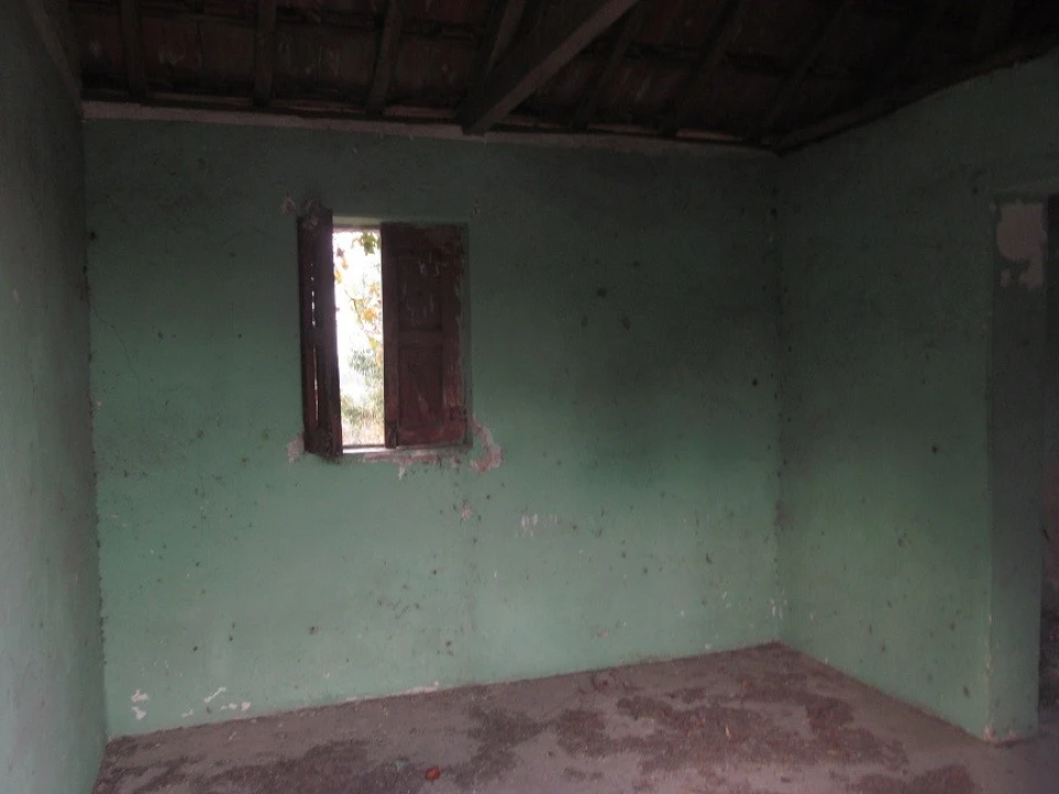 Terreno Agricola ou Rústico para Venda em Constance Foto 4