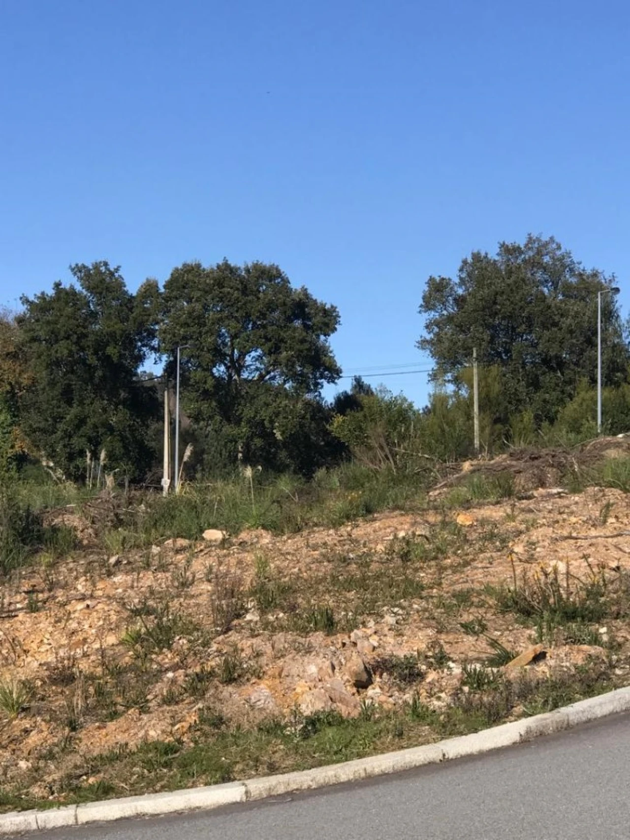 Terreno para Venda em Foz do Sousa e Covelo Foto 6