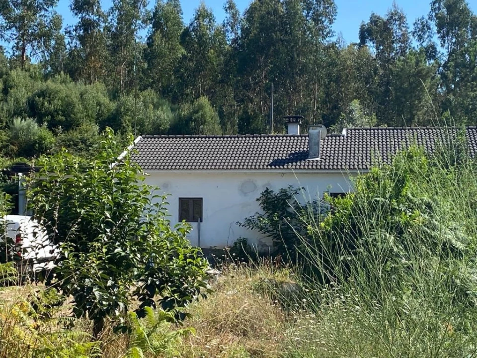 Quinta T2 para Venda em Canedo, Vale e Vila Maior Foto 1