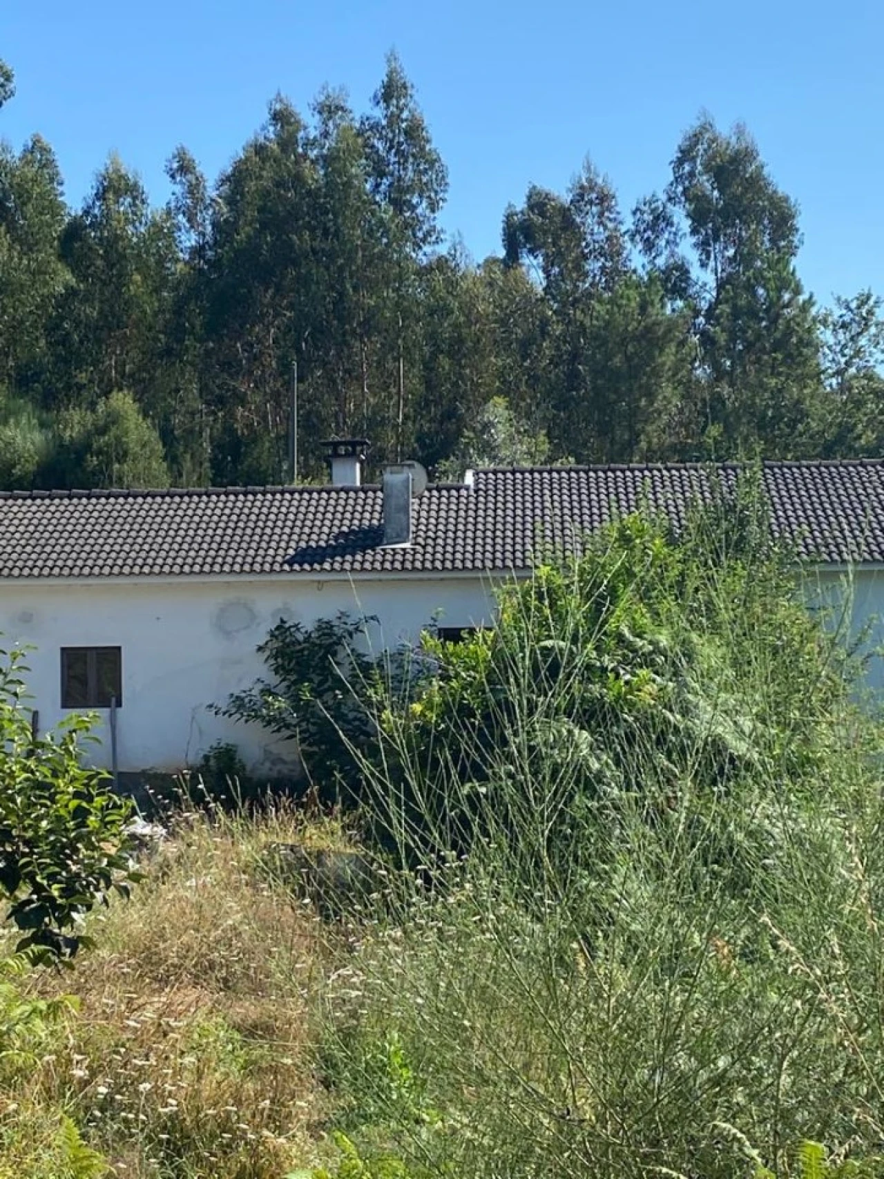 Quinta T2 para Venda em Canedo, Vale e Vila Maior Foto 4
