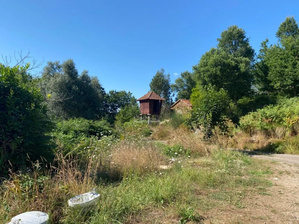 Quinta T2 para Venda em Canedo, Vale e Vila Maior Foto 7