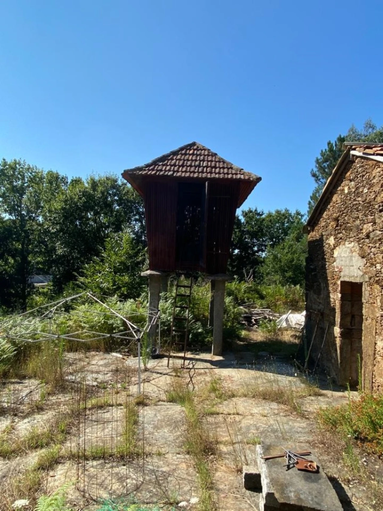 Quinta T2 para Venda em Canedo, Vale e Vila Maior Foto 12