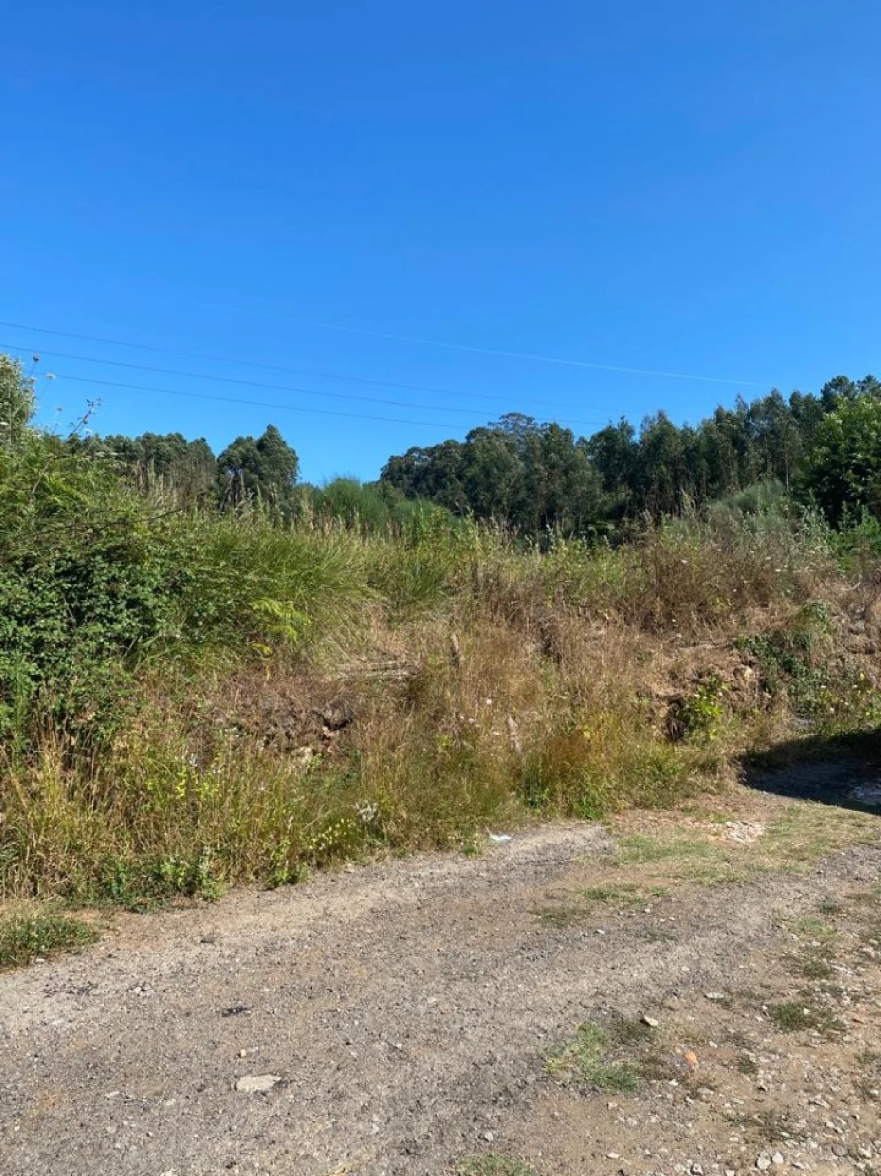Quinta T2 para Venda em Canedo, Vale e Vila Maior Foto 20