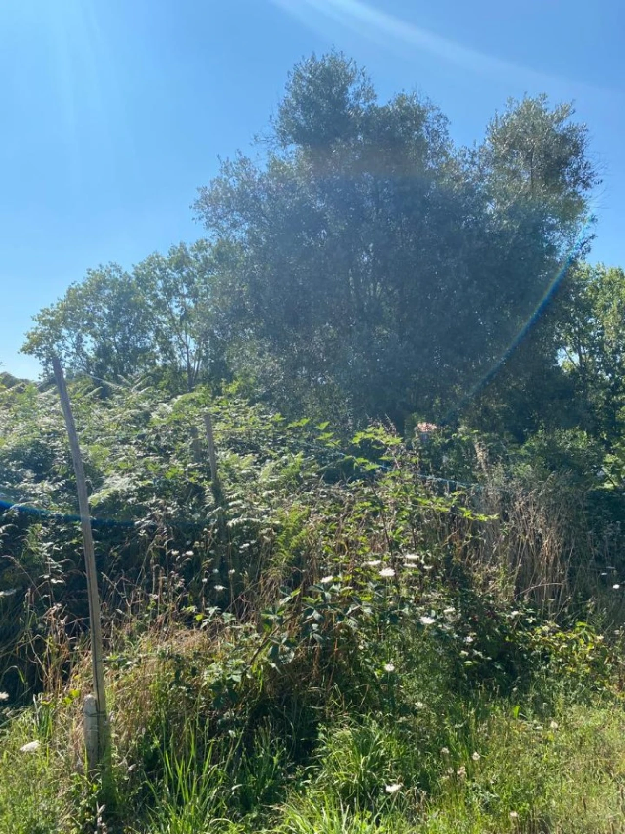 Quinta T2 para Venda em Canedo, Vale e Vila Maior Foto 21