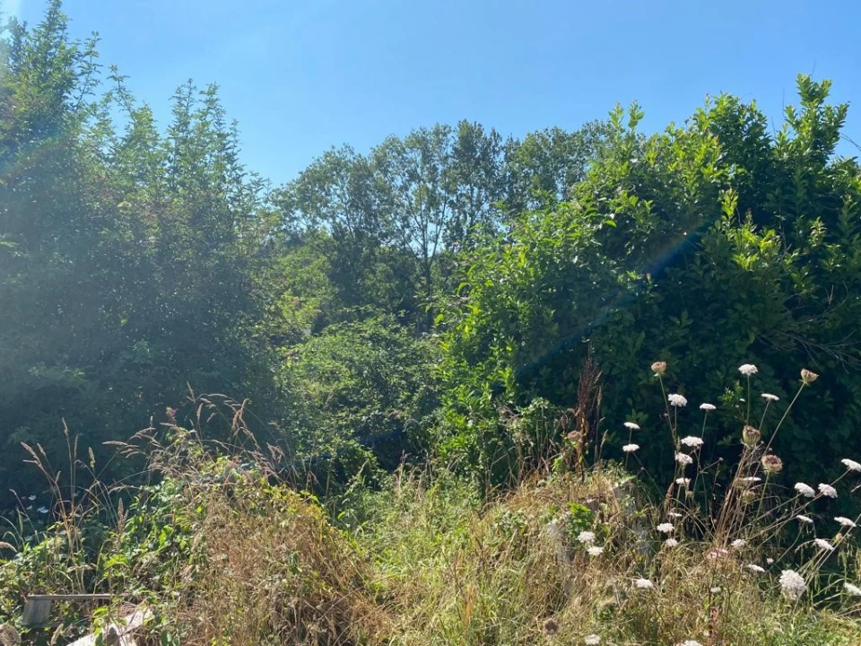 Quinta T2 para Venda em Canedo, Vale e Vila Maior Foto 22