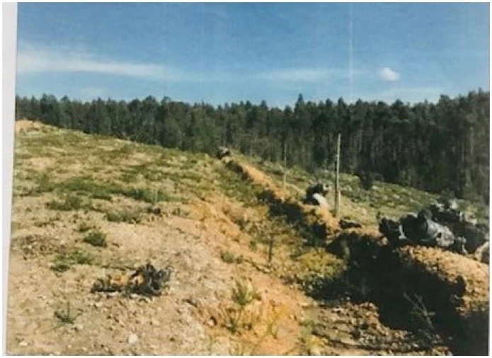 Quinta T2 para Venda em Canedo, Vale e Vila Maior Foto 17