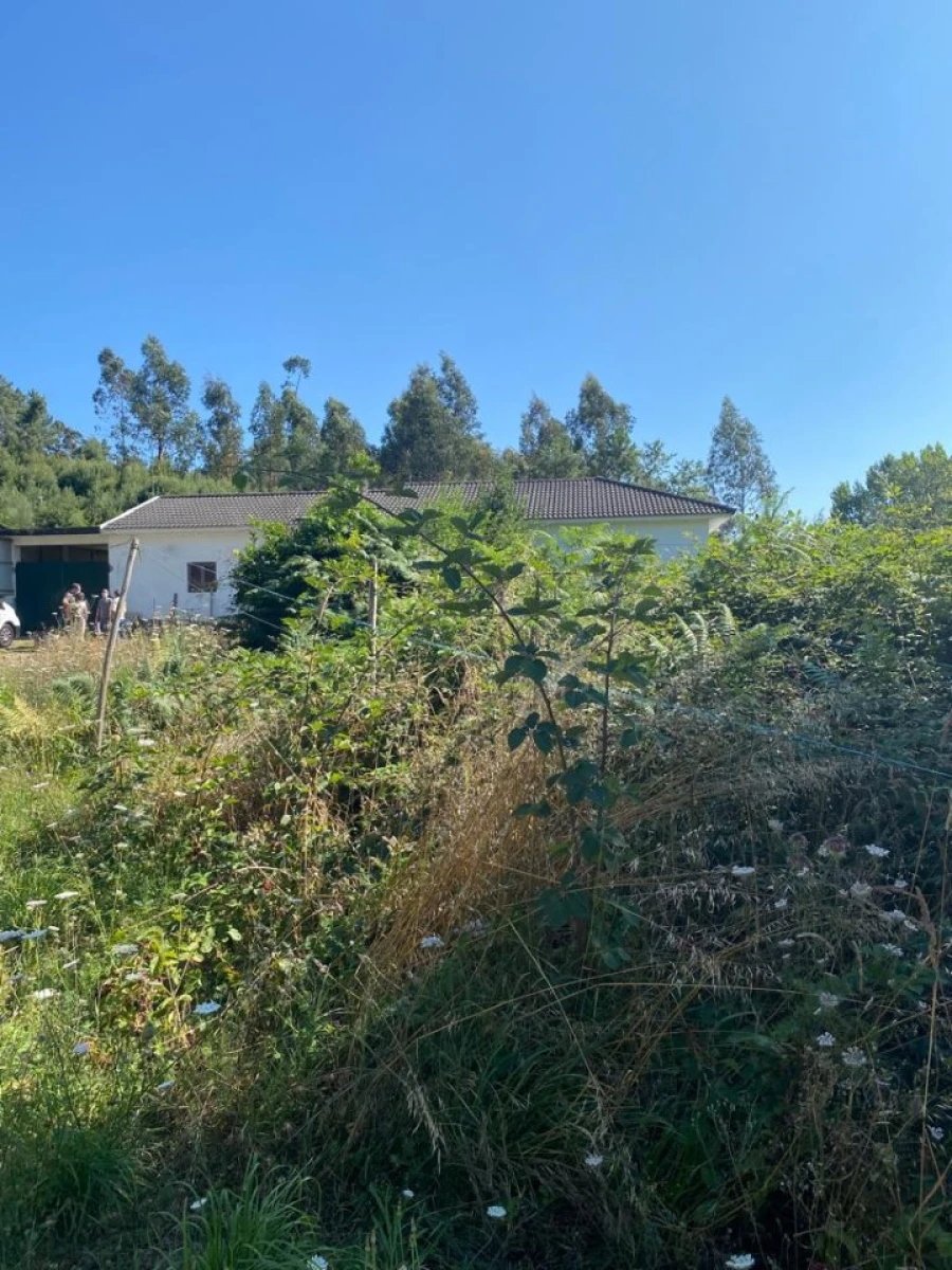 Quinta T2 para Venda em Canedo, Vale e Vila Maior Foto 5