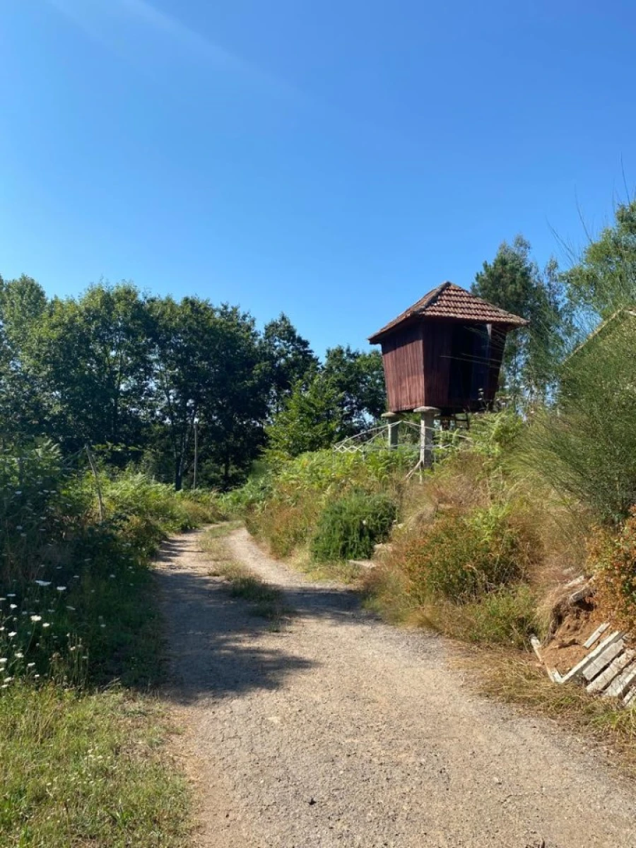 Quinta T2 para Venda em Canedo, Vale e Vila Maior Foto 8