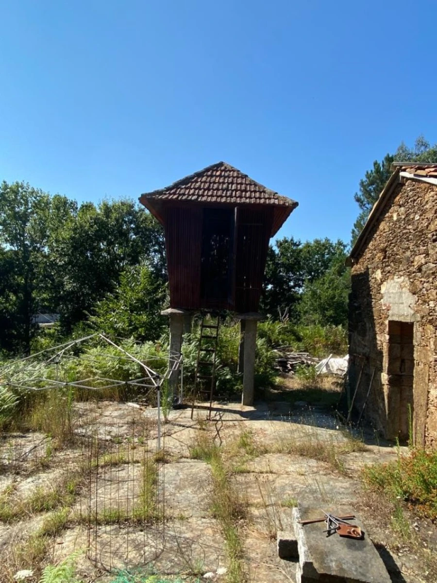 Quinta T2 para Venda em Canedo, Vale e Vila Maior Foto 12