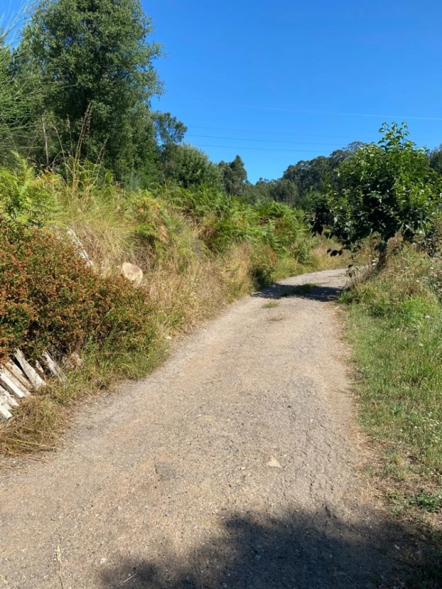 Quinta T2 para Venda em Canedo, Vale e Vila Maior Foto 19