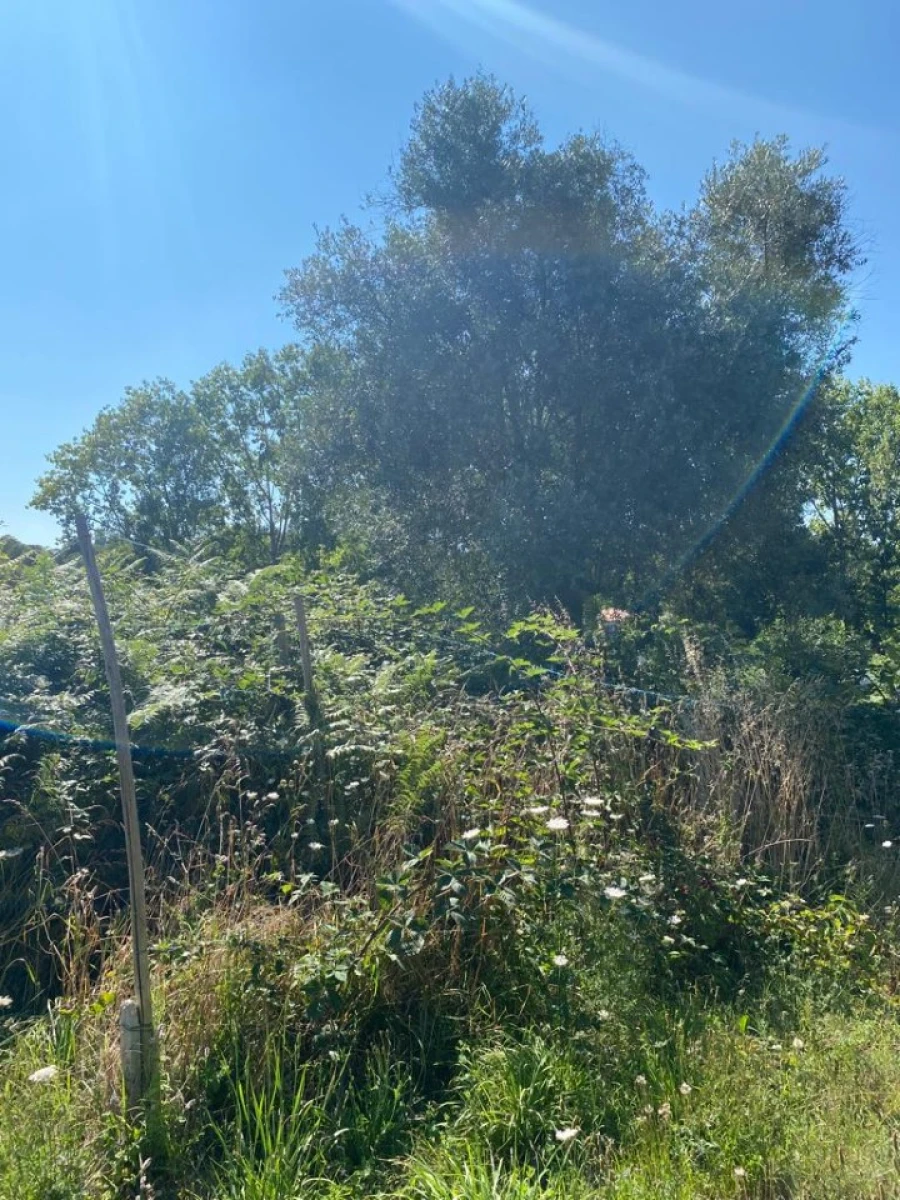 Quinta T2 para Venda em Canedo, Vale e Vila Maior Foto 21