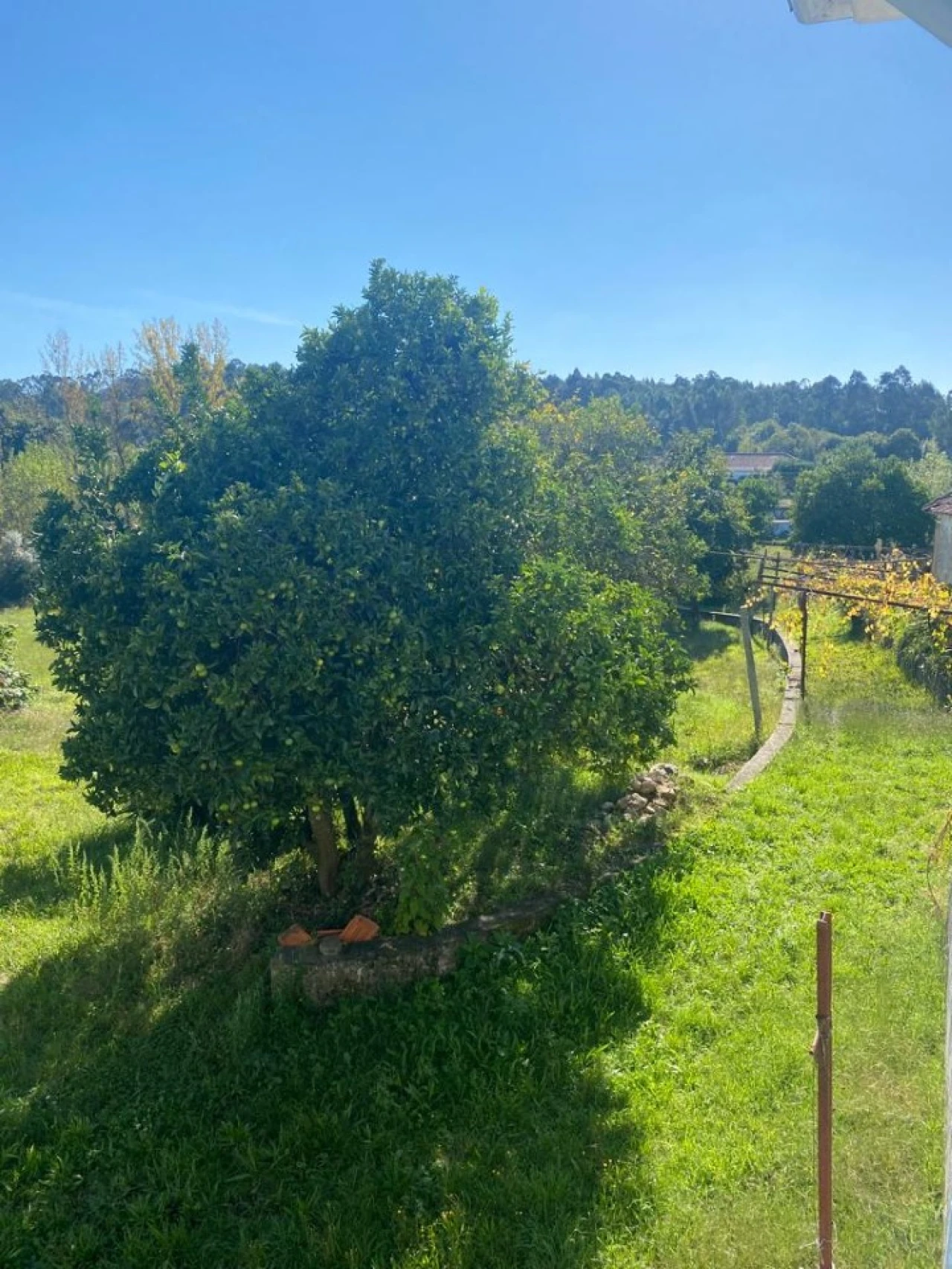 Terreno para Venda em Canedo, Vale e Vila Maior Foto 1
