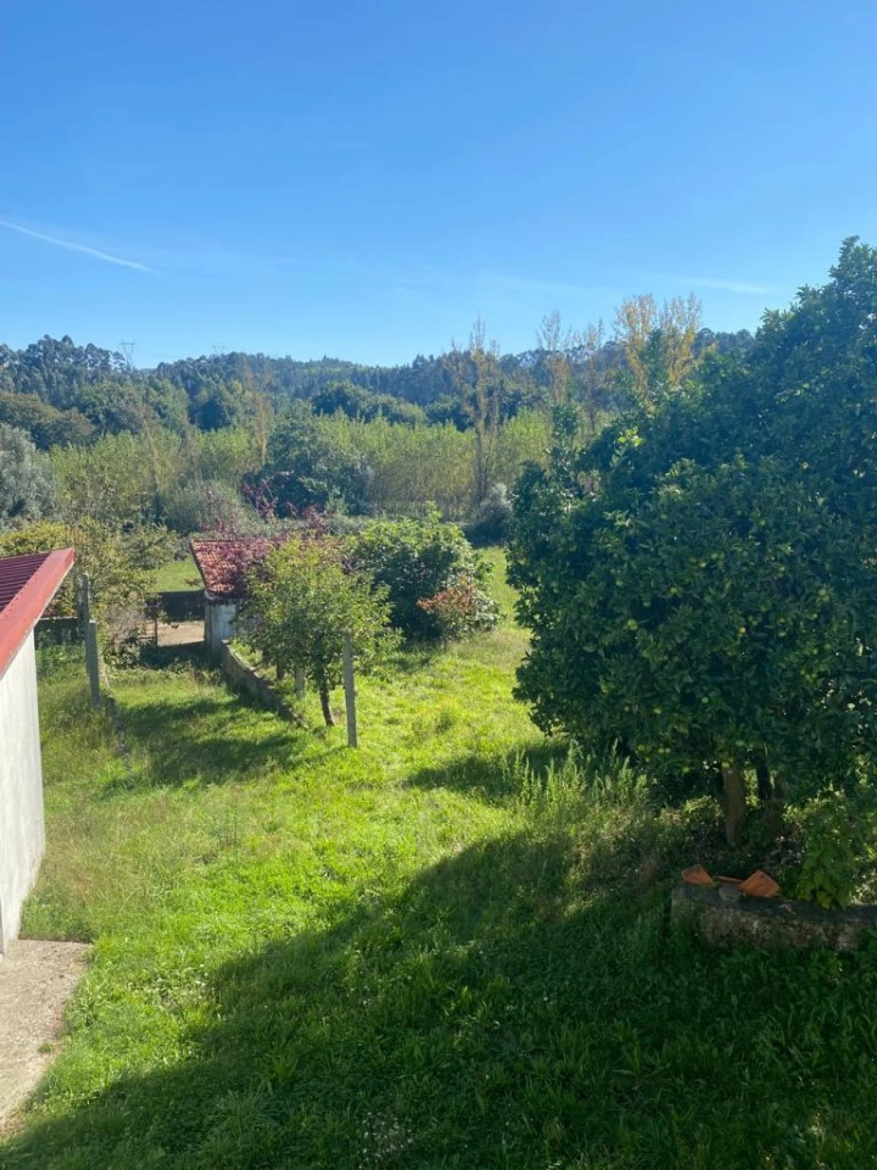 Terreno para Venda em Canedo, Vale e Vila Maior Foto 3