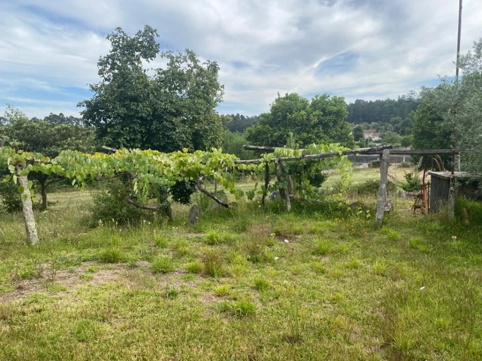 Terreno para Venda em Canedo, Vale e Vila Maior Foto 5