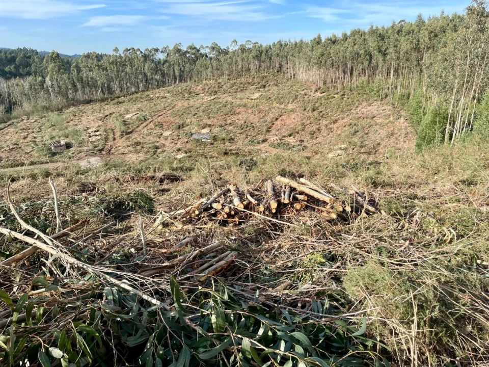 Terreno para Venda em Canedo, Vale e Vila Maior Foto 8