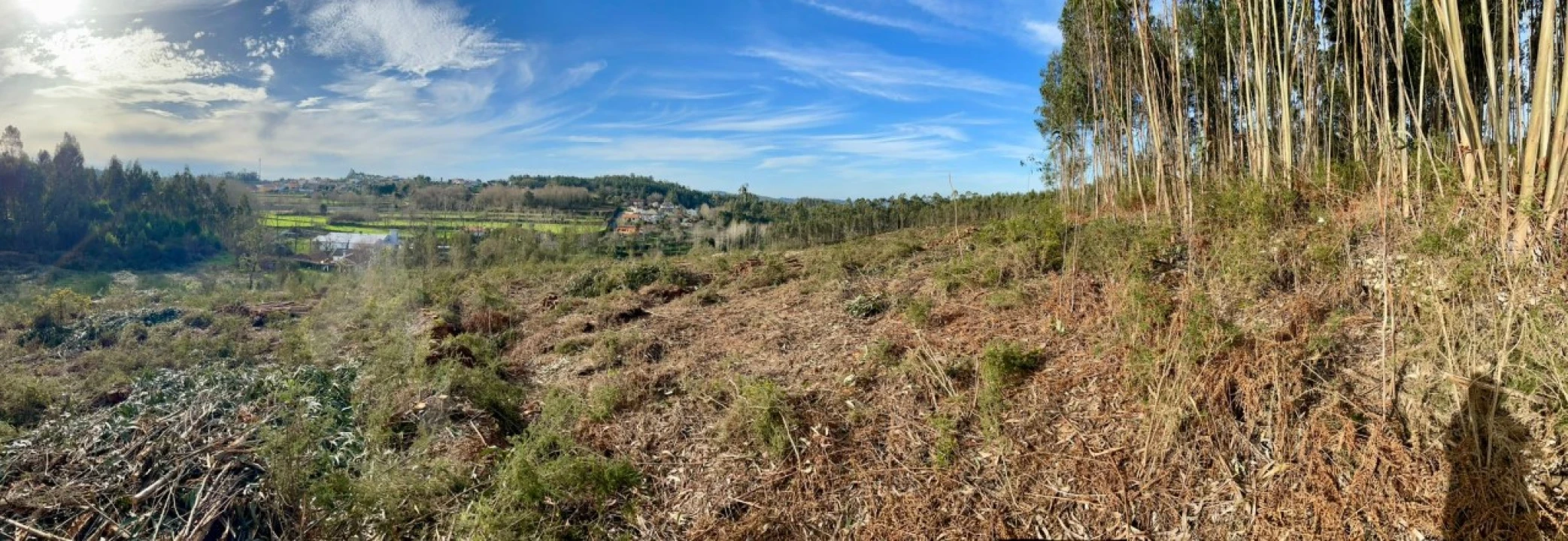 Terreno para Venda em Canedo, Vale e Vila Maior Foto 9