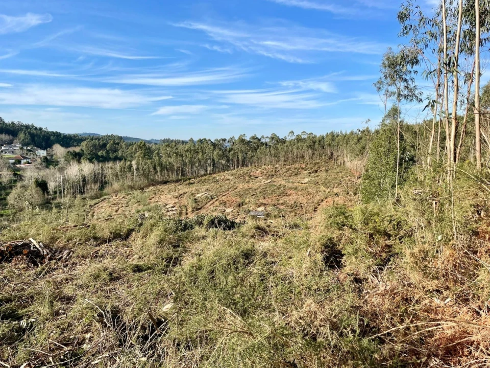 Terreno para Venda em Canedo, Vale e Vila Maior Foto 13