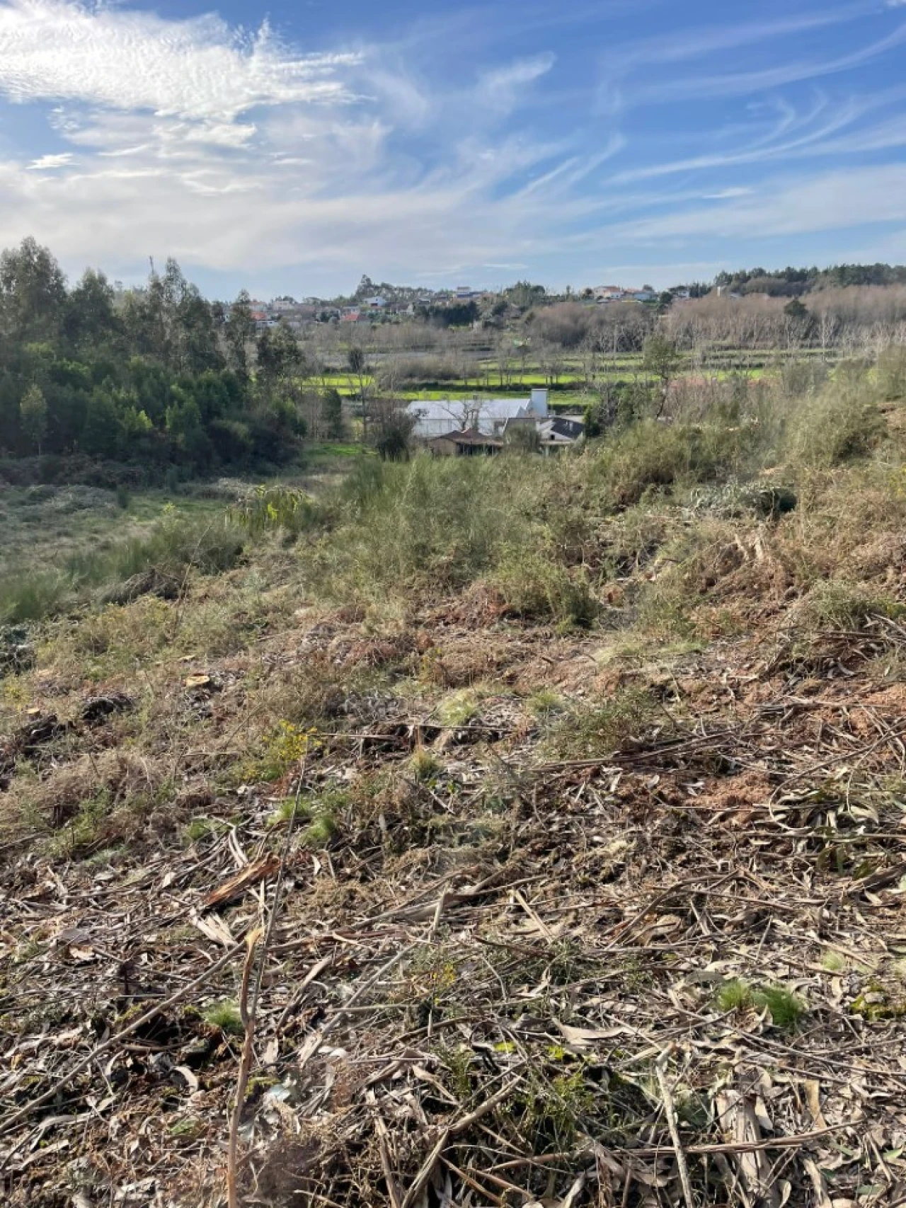 Terreno para Venda em Canedo, Vale e Vila Maior Foto 15