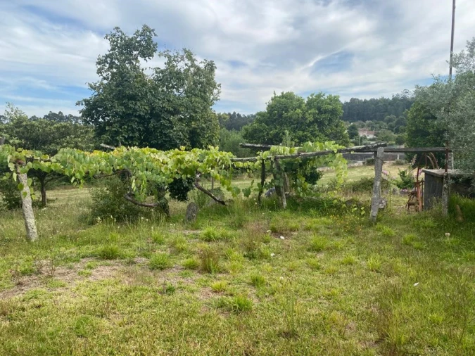 Terreno para Venda em Canedo, Vale e Vila Maior Foto 5