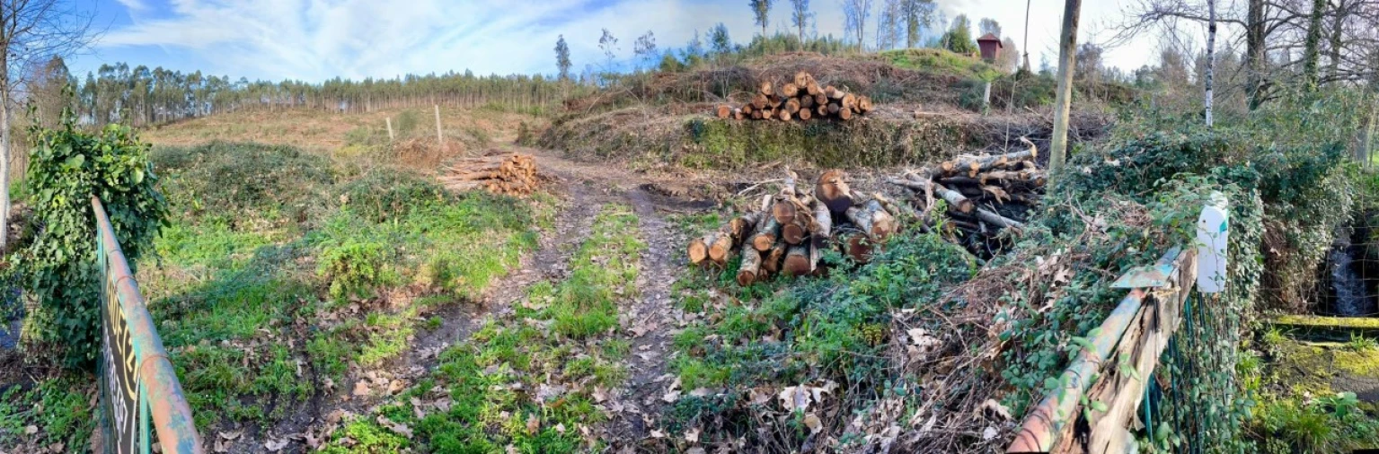 Terreno para Venda em Canedo, Vale e Vila Maior Foto 6