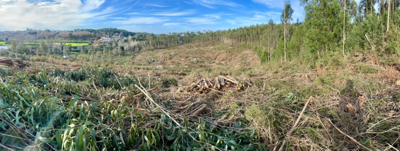 Terreno para Venda em Canedo, Vale e Vila Maior Foto 7
