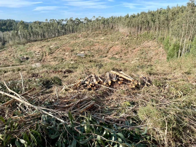 Terreno para Venda em Canedo, Vale e Vila Maior Foto 8