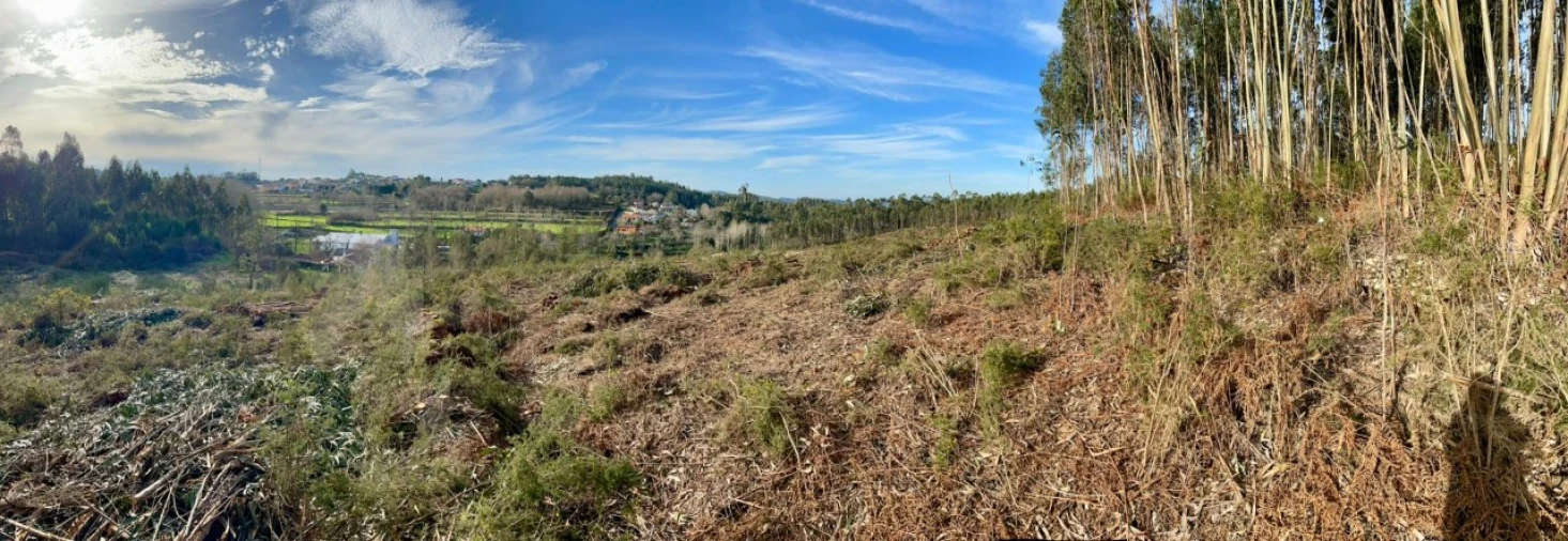Terreno para Venda em Canedo, Vale e Vila Maior Foto 9