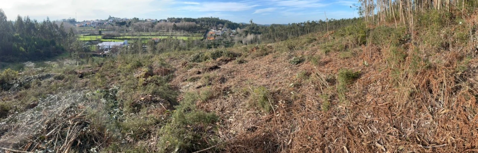 Terreno para Venda em Canedo, Vale e Vila Maior Foto 11