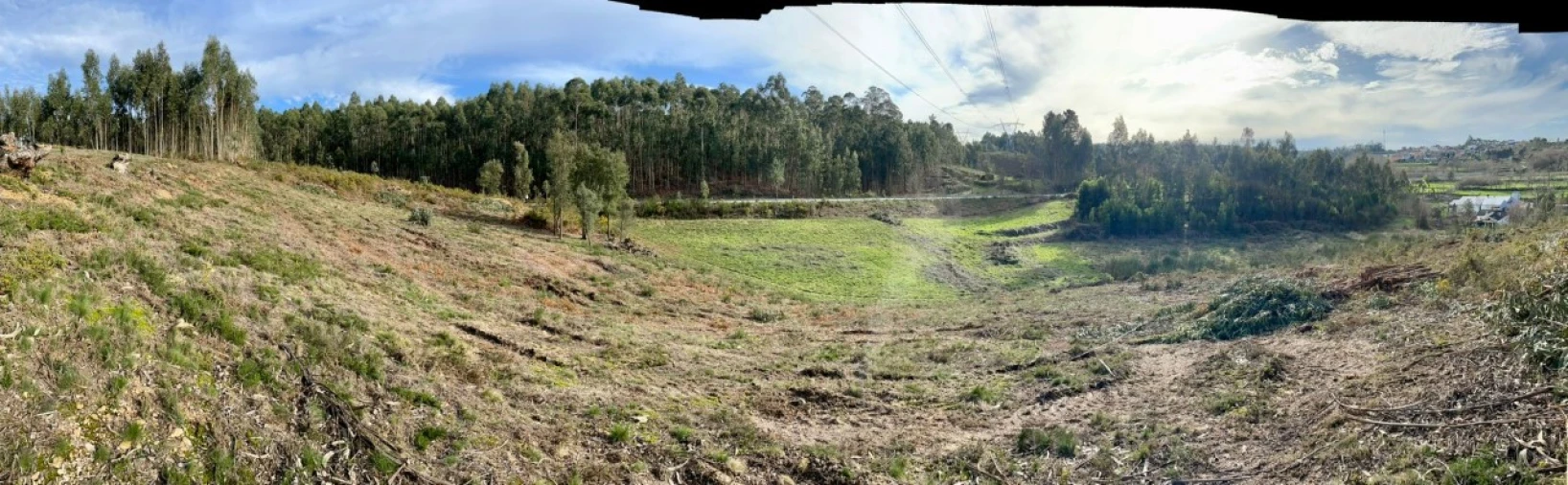 Terreno para Venda em Canedo, Vale e Vila Maior Foto 12