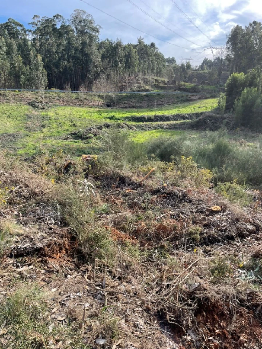 Terreno para Venda em Canedo, Vale e Vila Maior Foto 19
