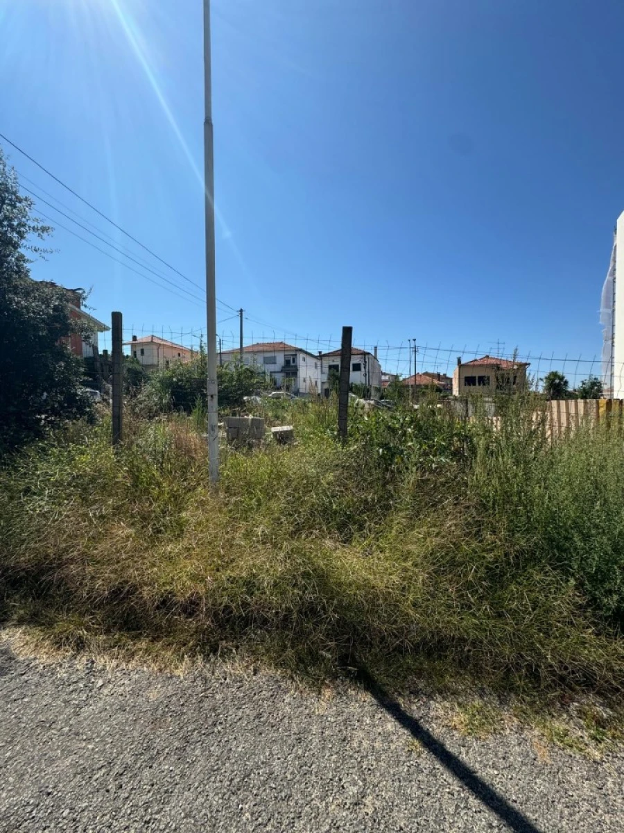 Terreno para Venda em Oliveira do Douro Foto 6